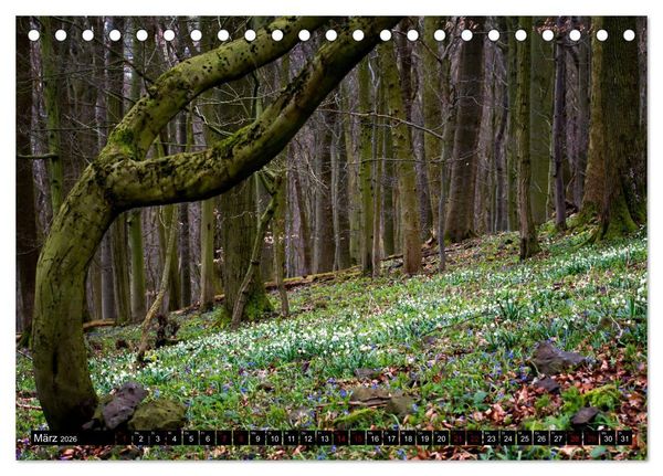 Produktbild: Die Rh&ouml;n (Tischkalender 2026 DIN A5 quer), CALVENDO Monatskalender