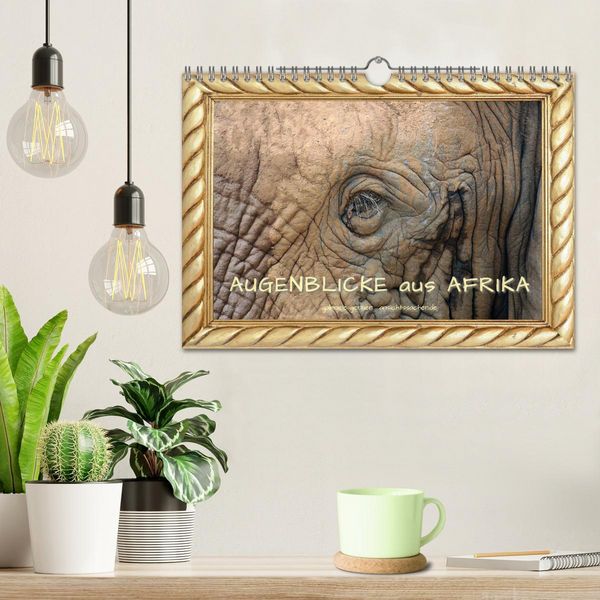Produktbild: Augenblicke aus Afrika (Wandkalender 2026 DIN A4 quer), CALVENDO Monatskalender