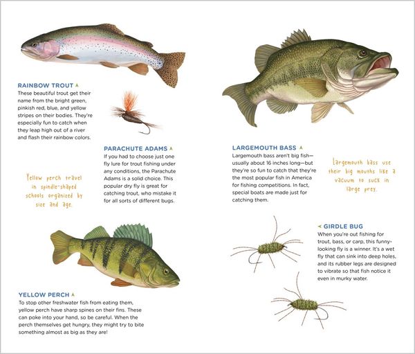 Produktbild: The Perfect Catch of Tattoo Fish