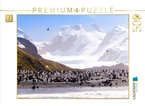 CALVENDO Puzzle Pinguin Kolonie im Naturparadies Antarktis | 500 Teile Lege-Größe 48 × 36 cm Foto-Puzzle für Erwachsene