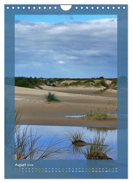 Produktbild: Texel sehen und verlieben (Wandkalender 2026 DIN A4 hoch), CALVENDO Monatskalender