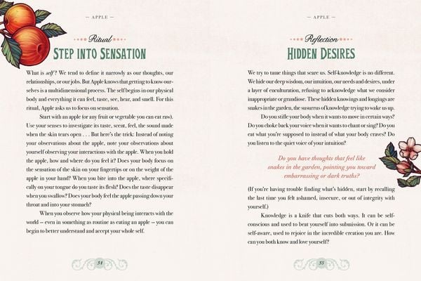 Produktbild: Illustrated Herbiary
