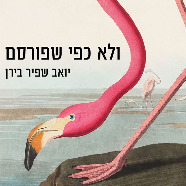 Produktbild: ולא כפי שפורסם