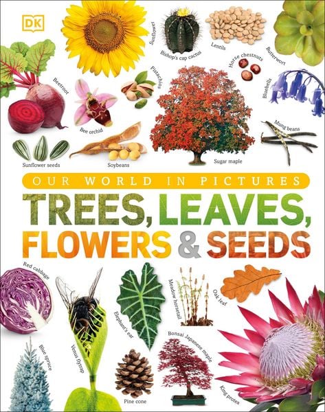 Our World in Pictures: Trees, Leaves, Flowers & Seeds, Gebundene Ausgabe von DK, Dorling Kindersley, 978-0-241-33992-3