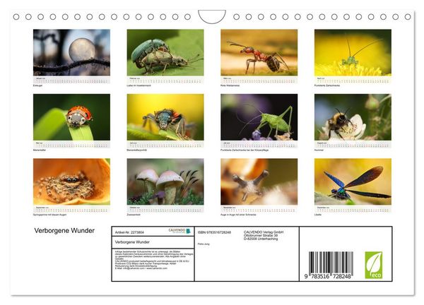 Produktbild: Verborgene Wunder (Wandkalender 2026 DIN A4 quer), CALVENDO Monatskalender