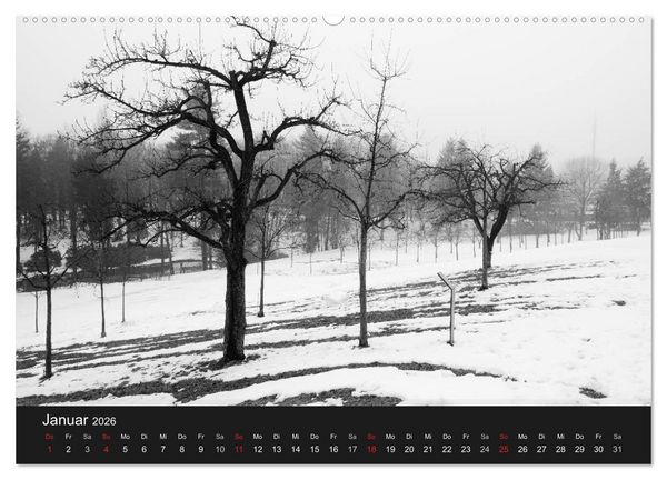 Produktbild: B&auml;ume trees 2026 (Wandkalender 2026 DIN A2 quer), CALVENDO Monatskalender