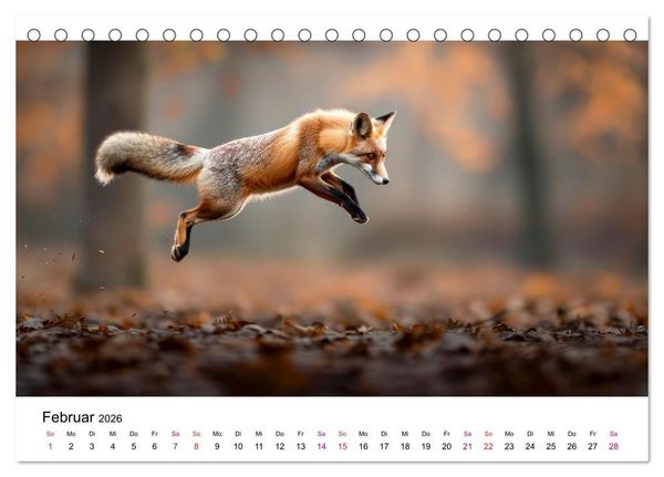 Produktbild: Fuchs - sch&ouml;ne Momente (Tischkalender 2026 DIN A5 quer), CALVENDO Monatskalender