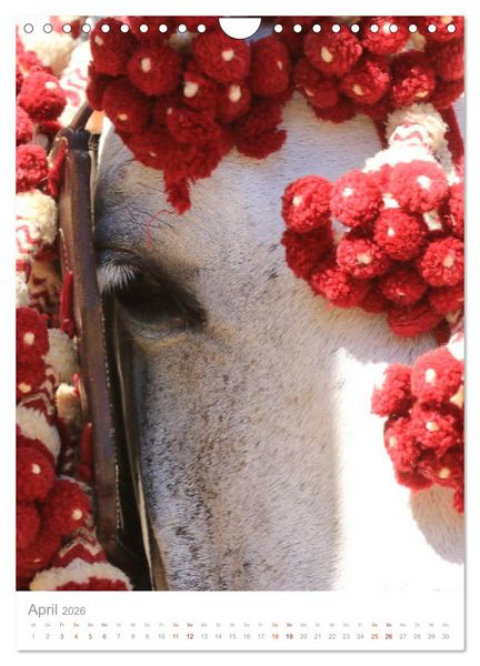 Produktbild: Caballos - Die sch&ouml;nen Pferde Spaniens (Wandkalender 2026 DIN A4 hoch), CALVENDO Monatskalender