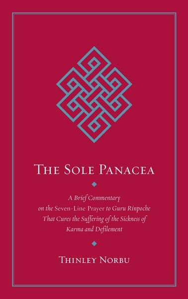 Produktbild: The Sole Panacea
