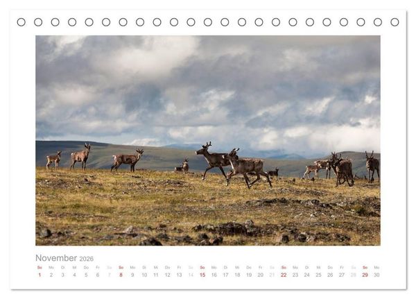 Produktbild: Alaska 2026 (Tischkalender 2026 DIN A5 quer), CALVENDO Monatskalender
