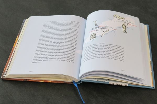 Produktbild: Fred in der Eiszeit