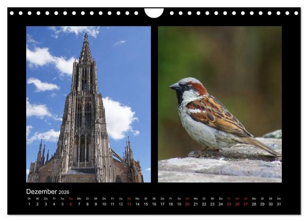Produktbild: Ulmer Spatzen (Wandkalender 2026 DIN A4 quer), CALVENDO Monatskalender