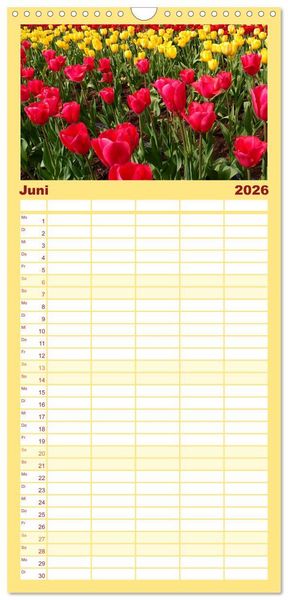 Produktbild: Familienplaner 2026 - Tulpentraum mit 5 Spalten (Wandkalender, 21 x 45 cm) CALVENDO