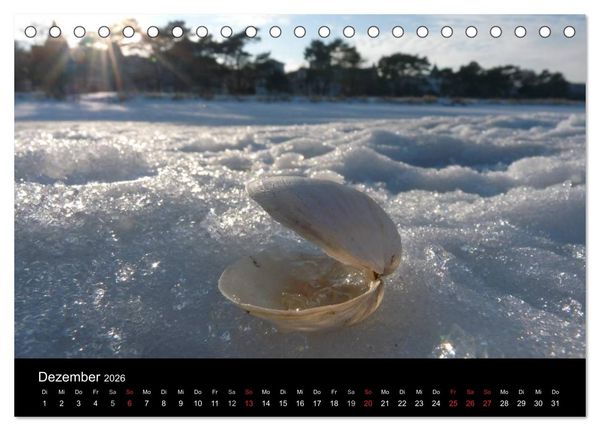 Produktbild: Die Ostsee - Ein Jahr am Meer (Tischkalender 2026 DIN A5 quer), CALVENDO Monatskalender