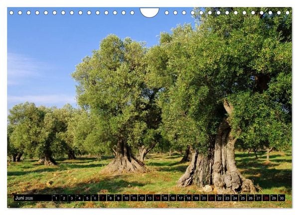 Produktbild: Apulien (Wandkalender 2026 DIN A4 quer), CALVENDO Monatskalender