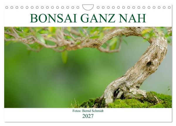 Produktbild: Bonsai ganz nah (Wandkalender 2027 DIN A4 quer), CALVENDO Monatskalender