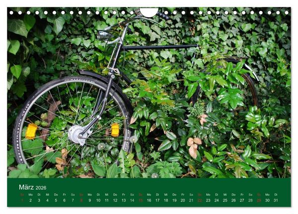 Produktbild: Das Fahrrad 2026 (Wandkalender 2026 DIN A4 quer), CALVENDO Monatskalender