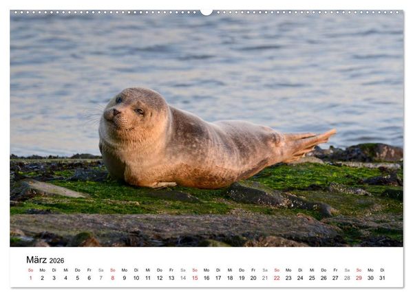 Produktbild: Maritime Impressionen Wilhelmshaven (Wandkalender 2026 DIN A2 quer), CALVENDO Monatskalender