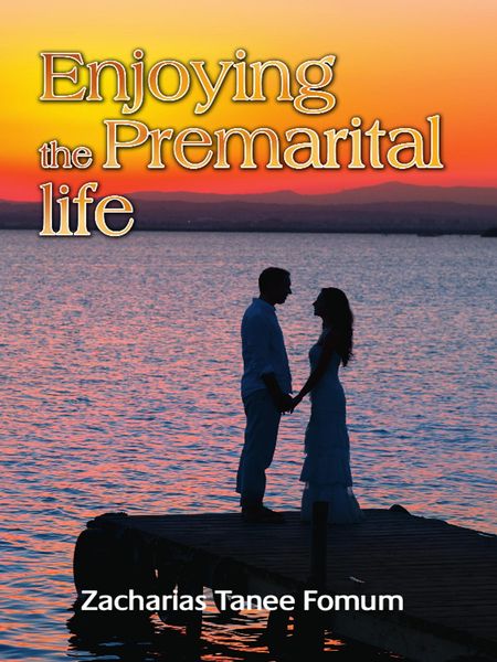 Produktbild: Enjoying the Premarital Life (God, Sex and You, #1)