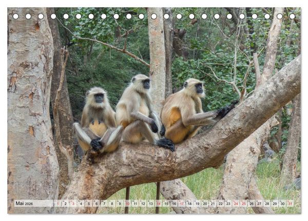 Produktbild: Indien - Eindrucksvoller Subkontinent (Tischkalender 2026 DIN A5 quer), CALVENDO Monatskalender