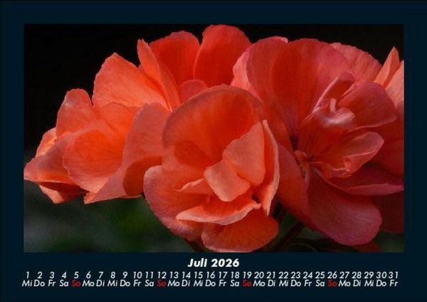 Produktbild: Blumentraum 2026 Fotokalender DIN A5