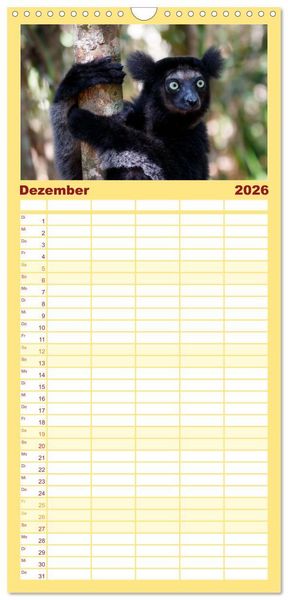 Produktbild: Familienplaner 2026 - Tierisch tolles Madagaskar - Cham&auml;leons, Lemuren und mehr mit 5 Spalten (Wandkalender, 21 x 45 cm) CALVENDO