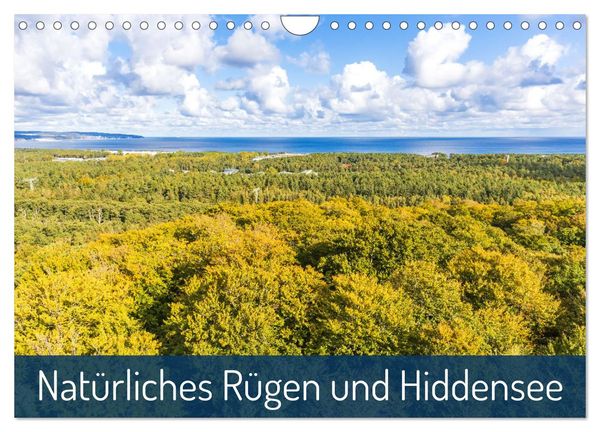 Natürliches Rügen und Hiddensee (Wandkalender 2024 DIN A4 quer), CALVENDO Monatskalender