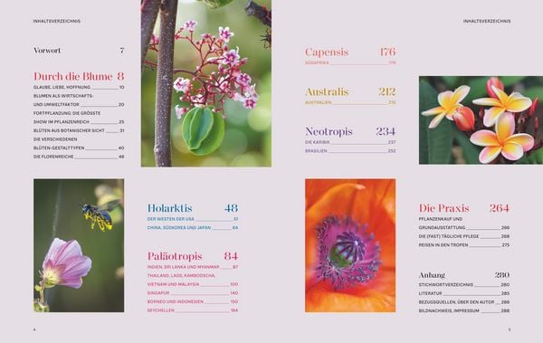 Produktbild: Die Welt in voller Bl&uuml;te: Eine botanische Entdeckungsreise zu den sch&ouml;nsten Bl&uuml;tenpflanzen der Welt
