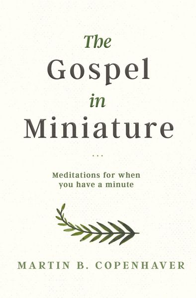 Produktbild: The Gospel in Miniature: Meditations for When You Have a Minute