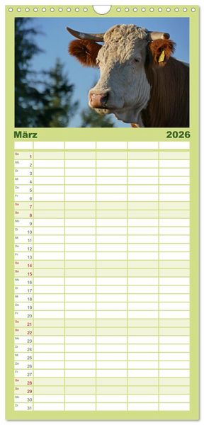 Produktbild: Familienplaner 2026 - Weiderinder im Frankenwald mit 5 Spalten (Wandkalender, 21 x 45 cm) CALVENDO