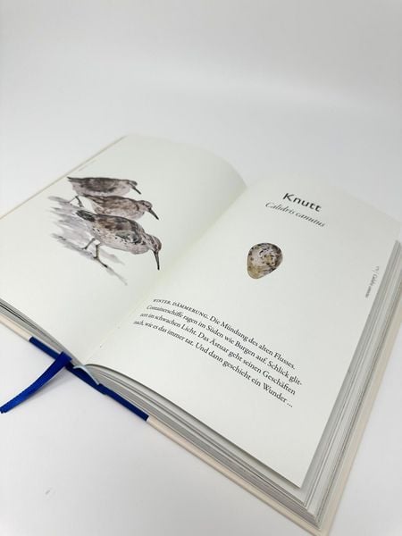 Produktbild: Das Buch der V&ouml;gel