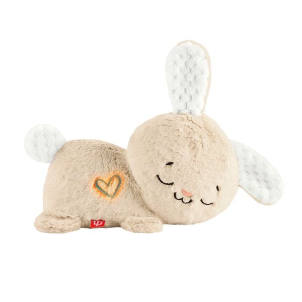 Produktbild: Fisher-Price Schlummer-H&auml;schen