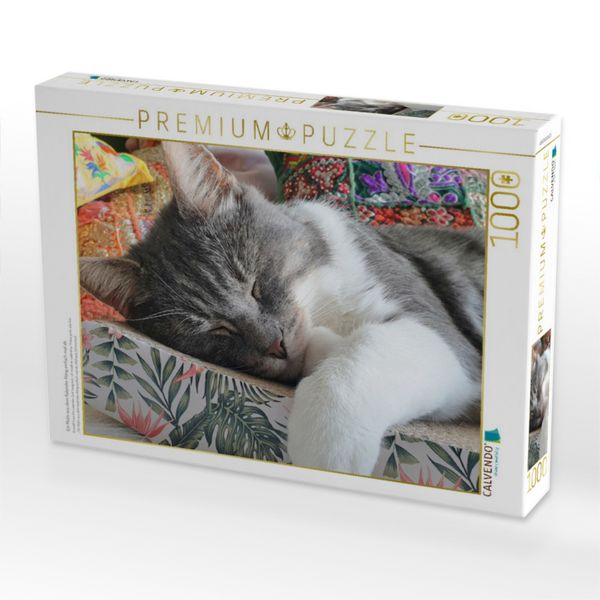 Produktbild: CALVENDO Puzzle Ein Motiv aus dem Kalender H&auml;ng einfach mal ab | 1000 Teile Lege-Gr&ouml;&szlig;e 64x48cm Foto-Puzzle f&uuml;r gl&uuml;ckliche Stunden