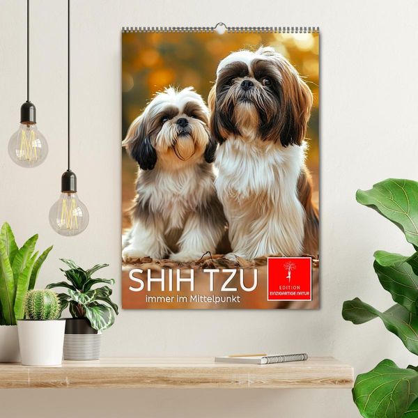 Produktbild: Shih Tzu - immer im Mittelpunkt (Wandkalender 2026 DIN A2 hoch), CALVENDO Monatskalender