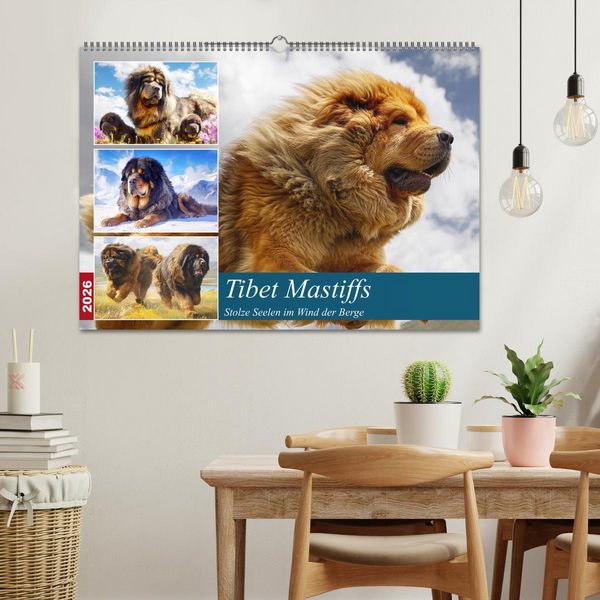 Produktbild: Tibet Mastiffs. Stolze Seelen im Wind der Berge (Wandkalender 2026 DIN A2 quer), CALVENDO Monatskalender