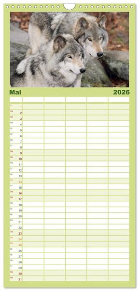 Produktbild: Familienplaner 2026 - W&ouml;lfe. Verwegene Anmut mit 5 Spalten (Wandkalender, 21 x 45 cm) CALVENDO