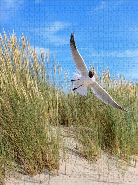 Produktbild: CALVENDO Puzzle Seeschwalbe 1000 Teile Lege-Gr&ouml;&szlig;e 48 x 64 cm Foto-Puzzle Bild von Susanne Herppich