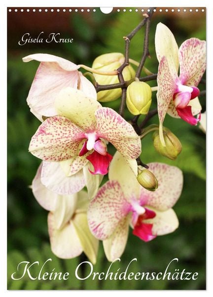 Produktbild: Kleine Orchideensch&auml;tze (Wandkalender 2026 DIN A3 hoch), CALVENDO Monatskalender