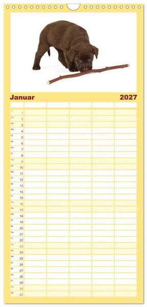 Produktbild: Familienplaner 2027 - Labrador - Welpen mit 5 Spalten (Wandkalender, 21 x 45 cm) CALVENDO
