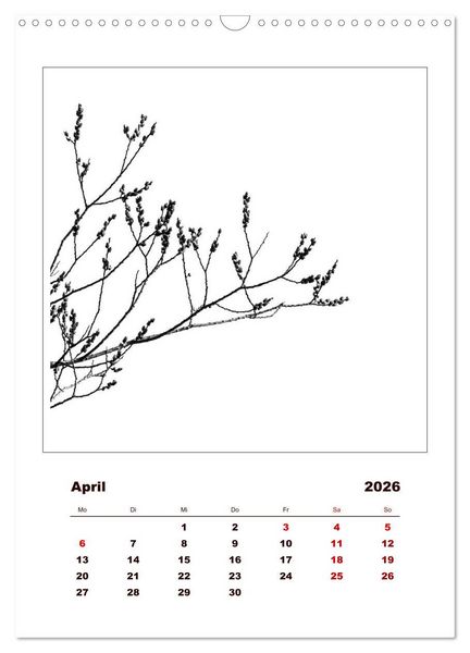 Produktbild: LignoGrafica - Muster und Strukturen der B&auml;ume (Wandkalender 2026 DIN A3 hoch), CALVENDO Monatskalender