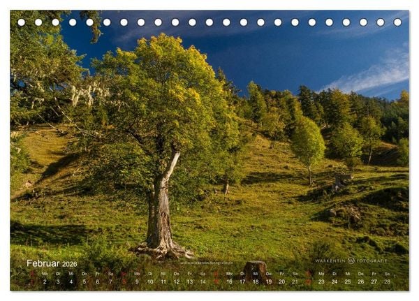 Produktbild: Gro&szlig;er Ahornboden - Europas gro&szlig;er Ahornwald (Tischkalender 2026 DIN A5 quer), CALVENDO Monatskalender
