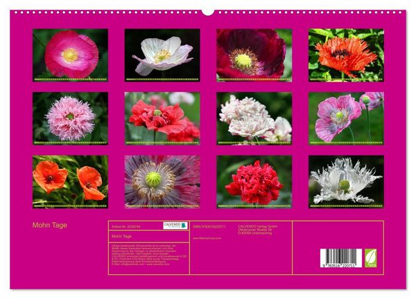 Produktbild: Mohn Tage (hochwertiger Premium Wandkalender 2026 DIN A2 quer), Kunstdruck in Hochglanz