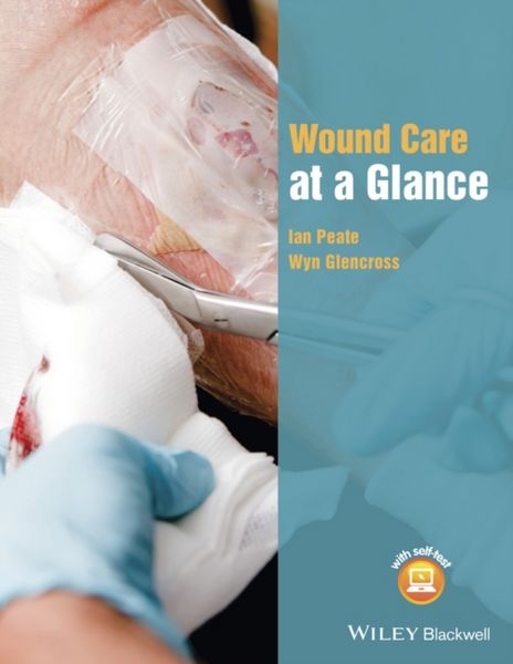 Produktbild: Wound Care at a Glance
