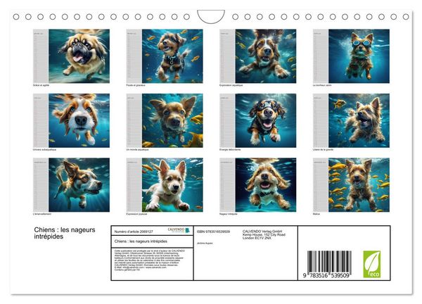 Produktbild: Chiens : les nageurs intr&eacute;pides (Calendrier mural 2026 DIN A4 vertical), CALVENDO calendrier mensuel