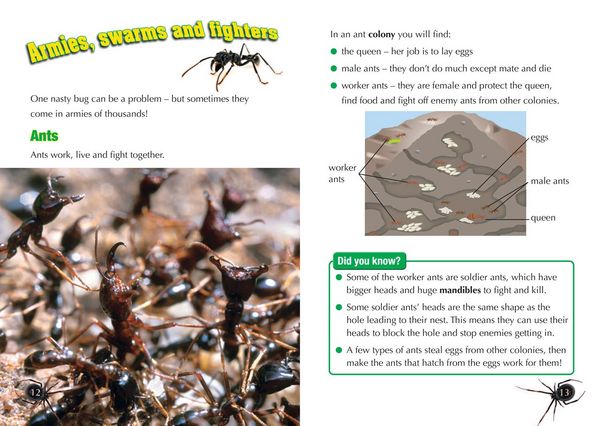 Produktbild: Zombie Wasps