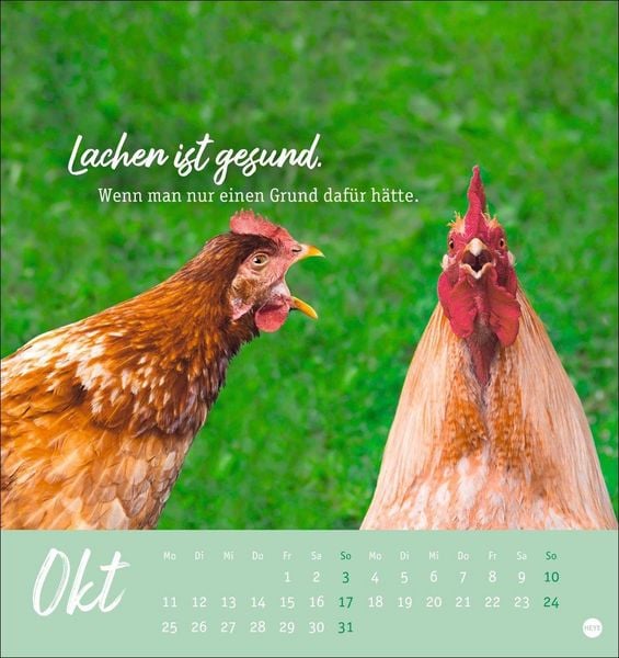 Produktbild: H&uuml;hner Postkartenkalender 2027 - Ach, du verr&uuml;cktes Huhn!