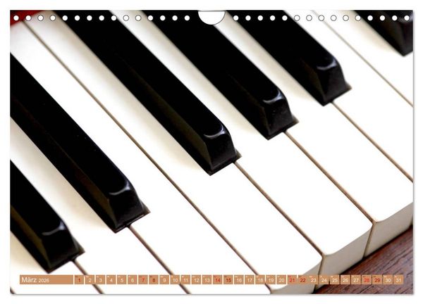 Produktbild: Aus Liebe zur Musik (Wandkalender 2026 DIN A4 quer), CALVENDO Monatskalender