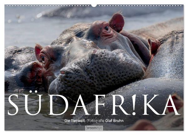 Produktbild: S&uuml;dafrika - Die Tierwelt (Wandkalender 2026 DIN A2 quer), CALVENDO Monatskalender