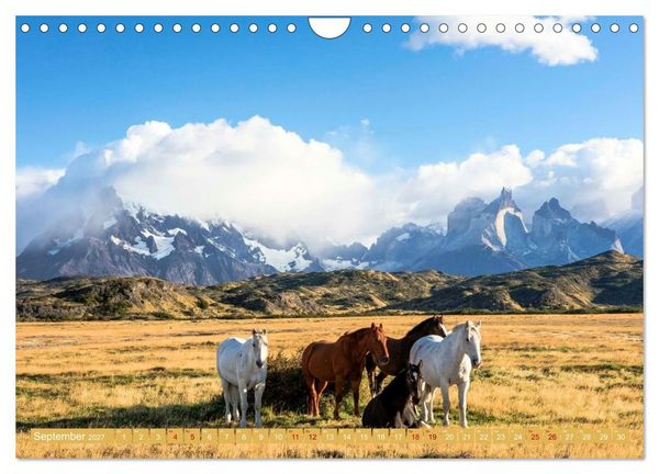 Produktbild: Patagonien - Naturwunder am Ende der Welt (Wandkalender 2027 DIN A4 quer), CALVENDO Monatskalender