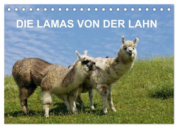Produktbild: DIE LAMAS VON DER LAHN (Tischkalender 2026 DIN A5 quer), CALVENDO Monatskalender